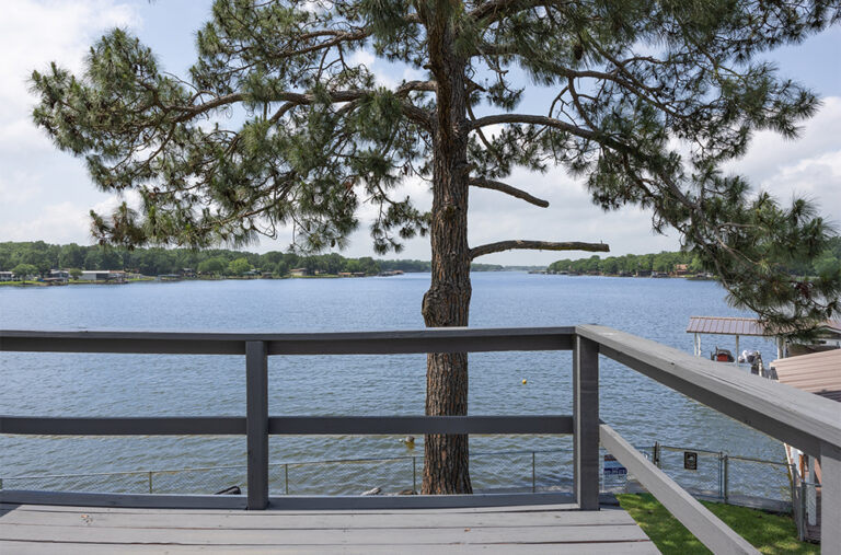 Dolly Lane Master View